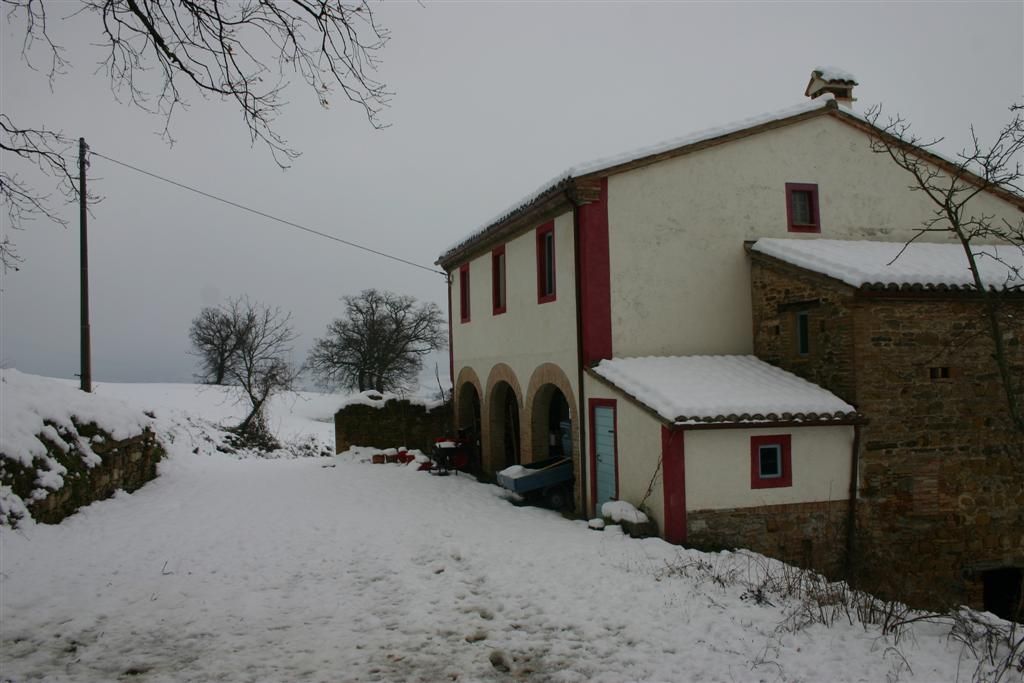 Faranghe in de sneeuw